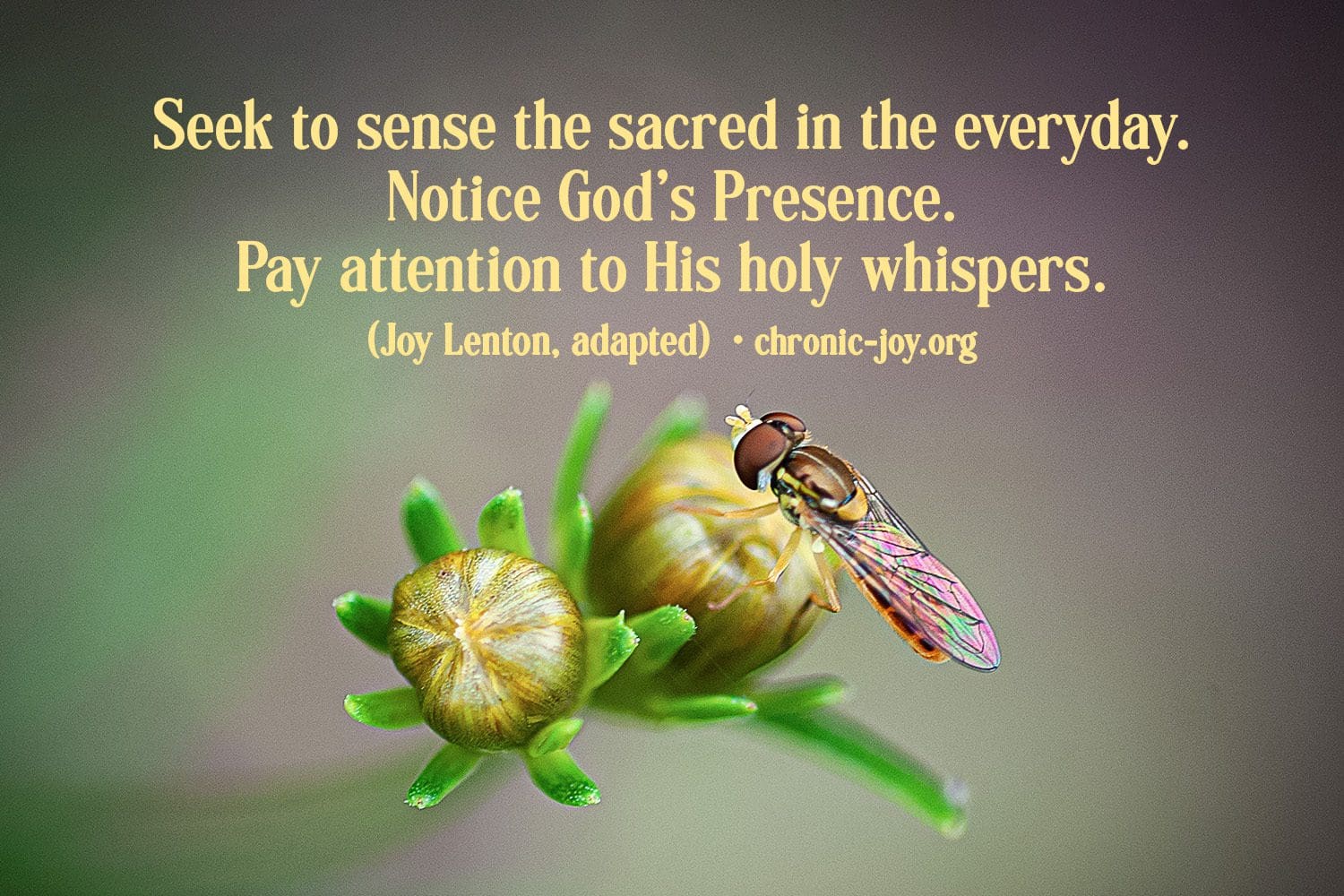 "Seek to sense the sacred in the everyday. Notice God's Presence. Pay attention to His holy whispers." (Joy Lenton, adapted)
