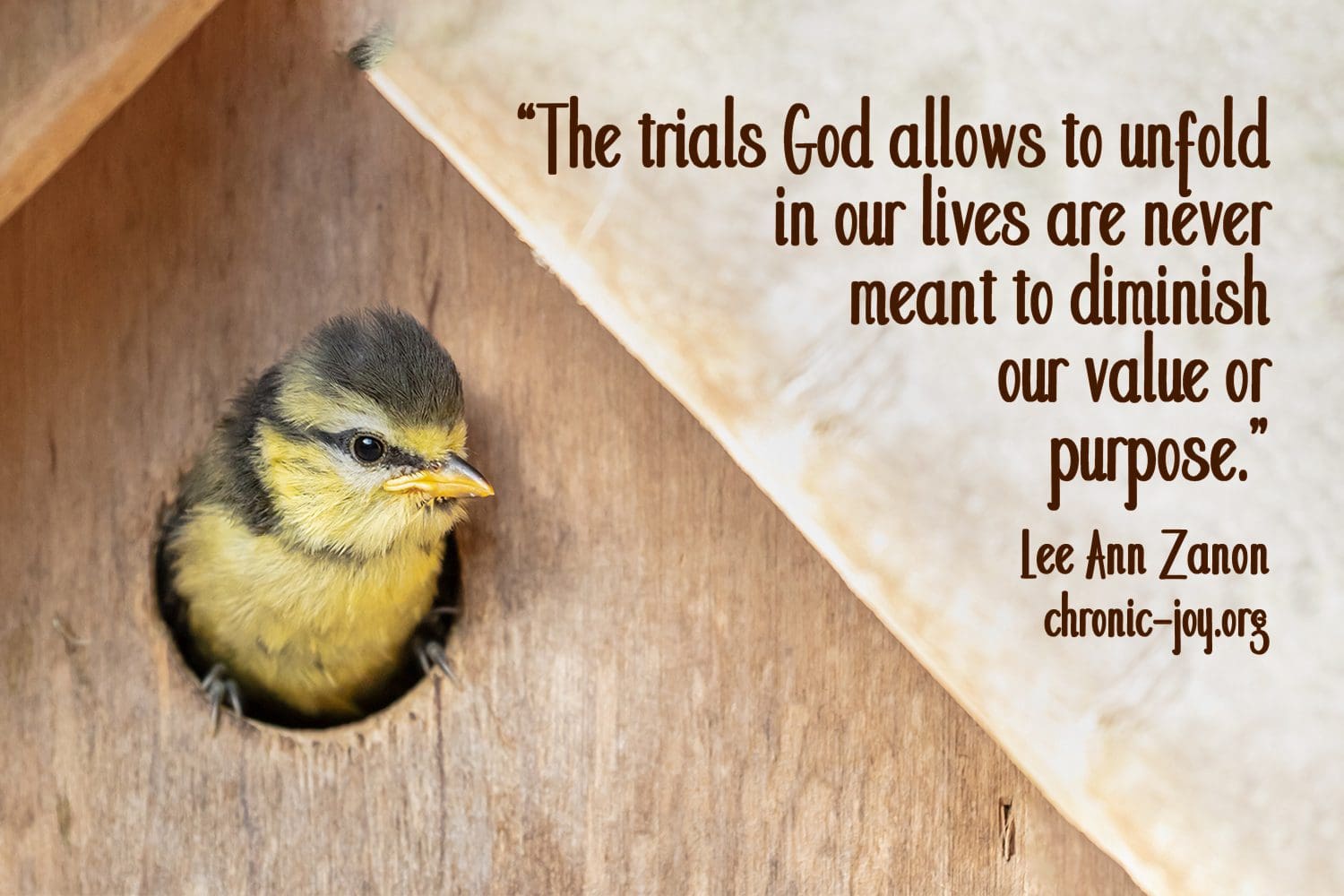 "The trials God allows to unfold in our lives are never meant to diminish our value or purpose." Lee Ann Zanon