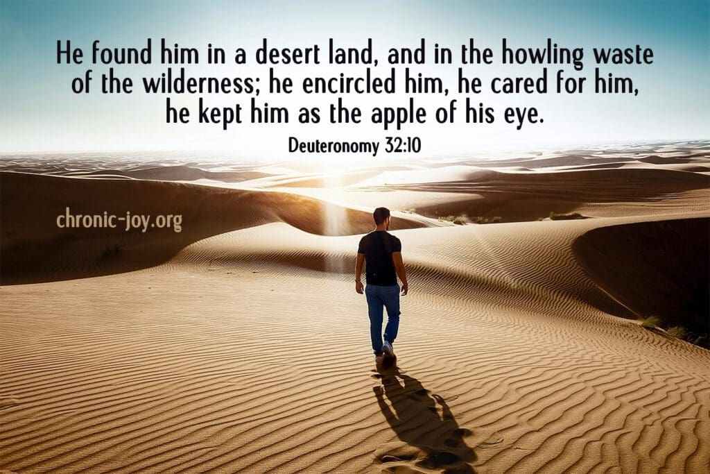 "He found him in a desert land, and in the howling waste of the wilderness; he encircled him, he cared for him, he kept him as the apple of his eye." Deuteronomy 32:10