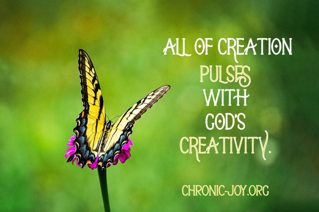 "All of creation pulses with God’s creativity." Chronic Joy