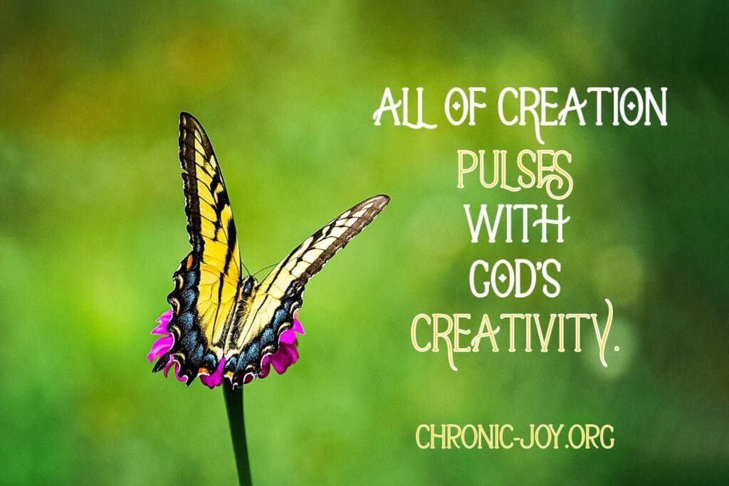 "All of creation pulses with God’s creativity." Chronic Joy