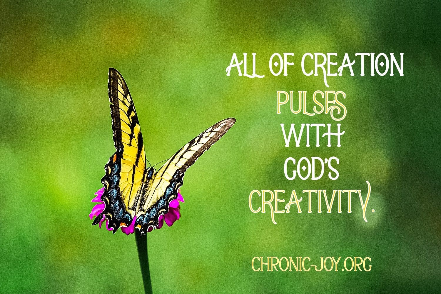 "All of creation pulses with God’s creativity." Chronic Joy