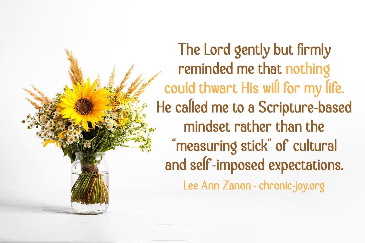 "The Lord gently but firmly reminded me that nothing could thwart His will for my life. He called me to a Scripture-based mindset rather than the 'measuring stick' of cultural and self-imposed expectations." Lee Ann Zanon