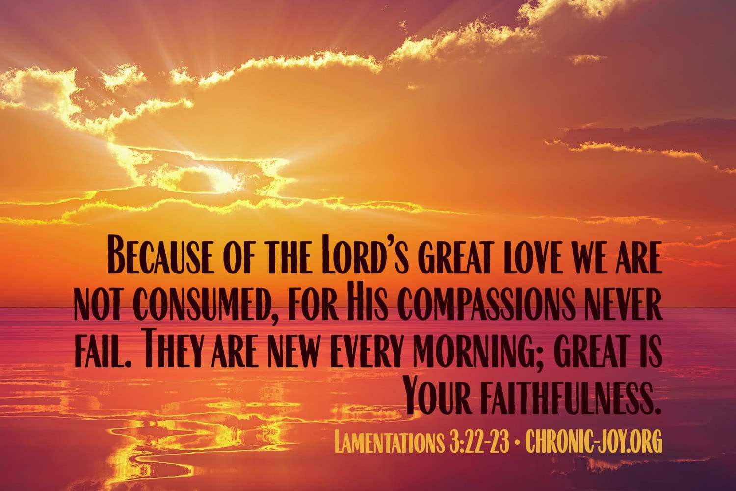 "Because of the Lord’s great love we are not consumed, for His compassions never fail. They are new every morning; great is Your faithfulness." (Lamentations 3:22-23)