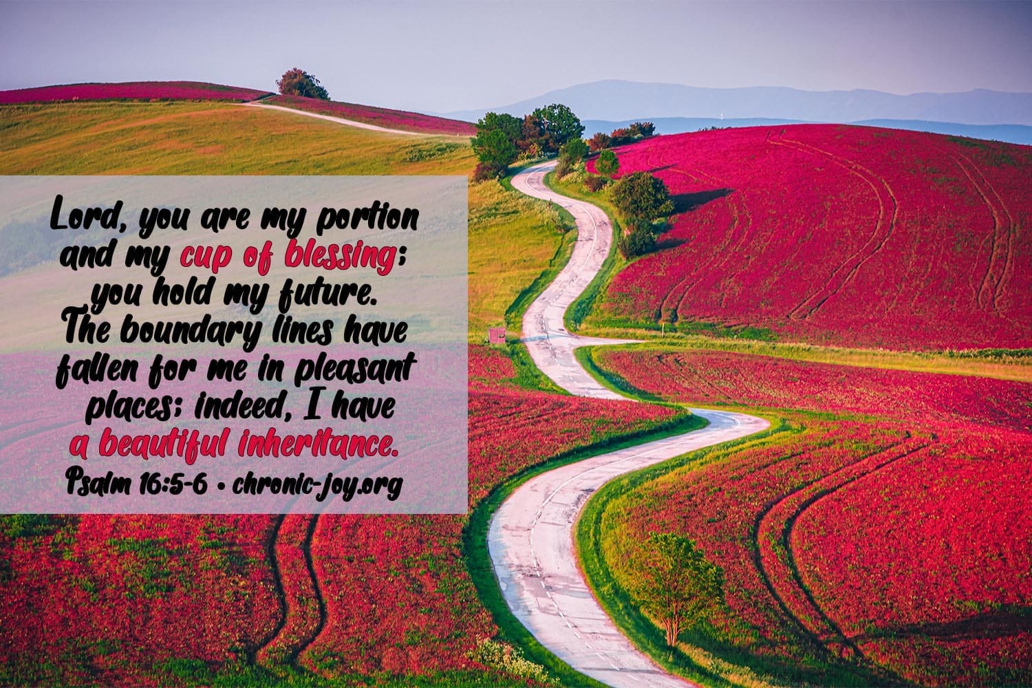 "Lord, you are my portion and my cup of blessing; you hold my future. The boundary lines have fallen for me in pleasant places; indeed, I have a beautiful inheritance." Psalm 16:5-6