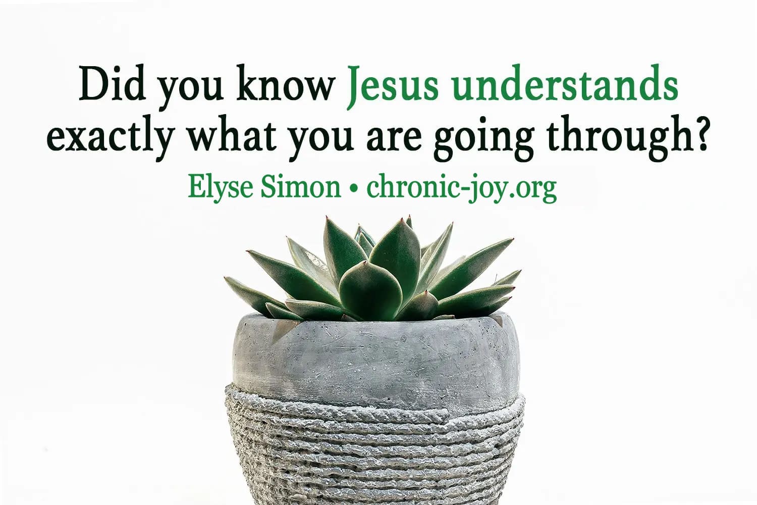 "Did you know Jesus understands exactly what you are going through?" Elyse Simon