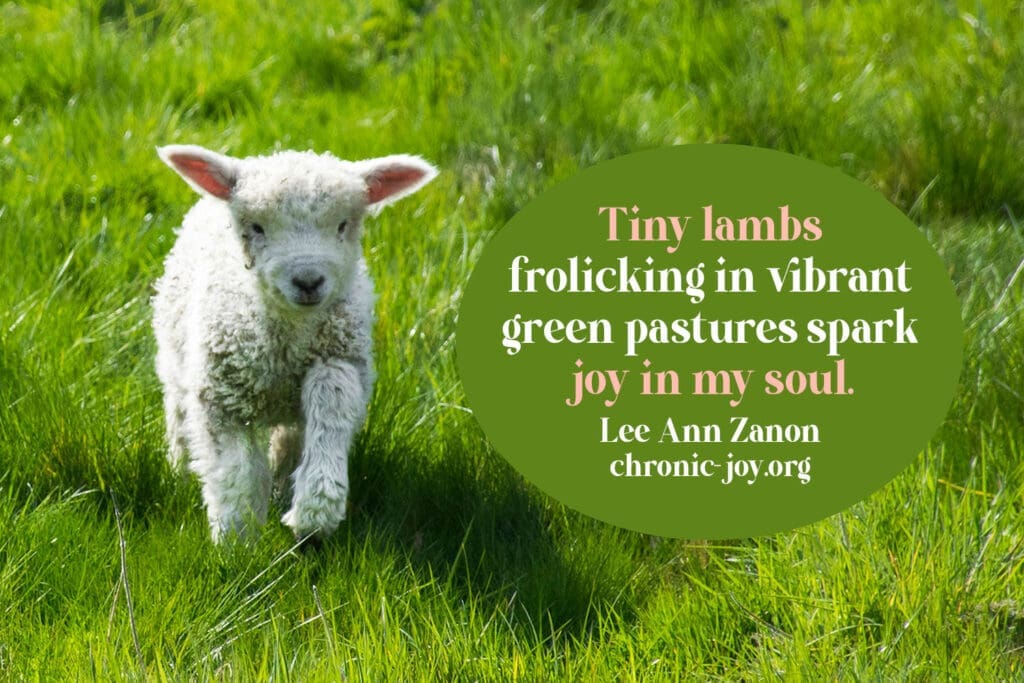 Frolicking lambs spark joy.